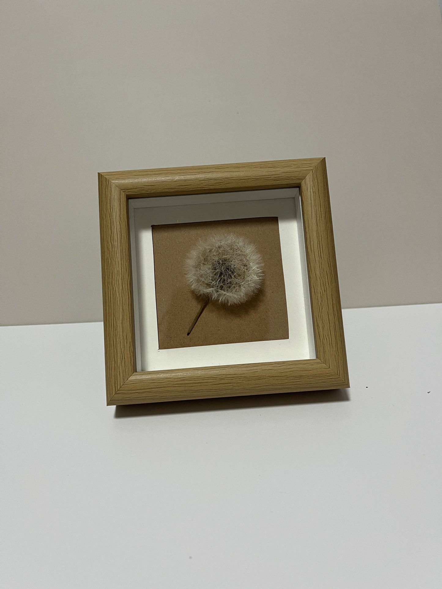 Dandelion Decorative Art #108