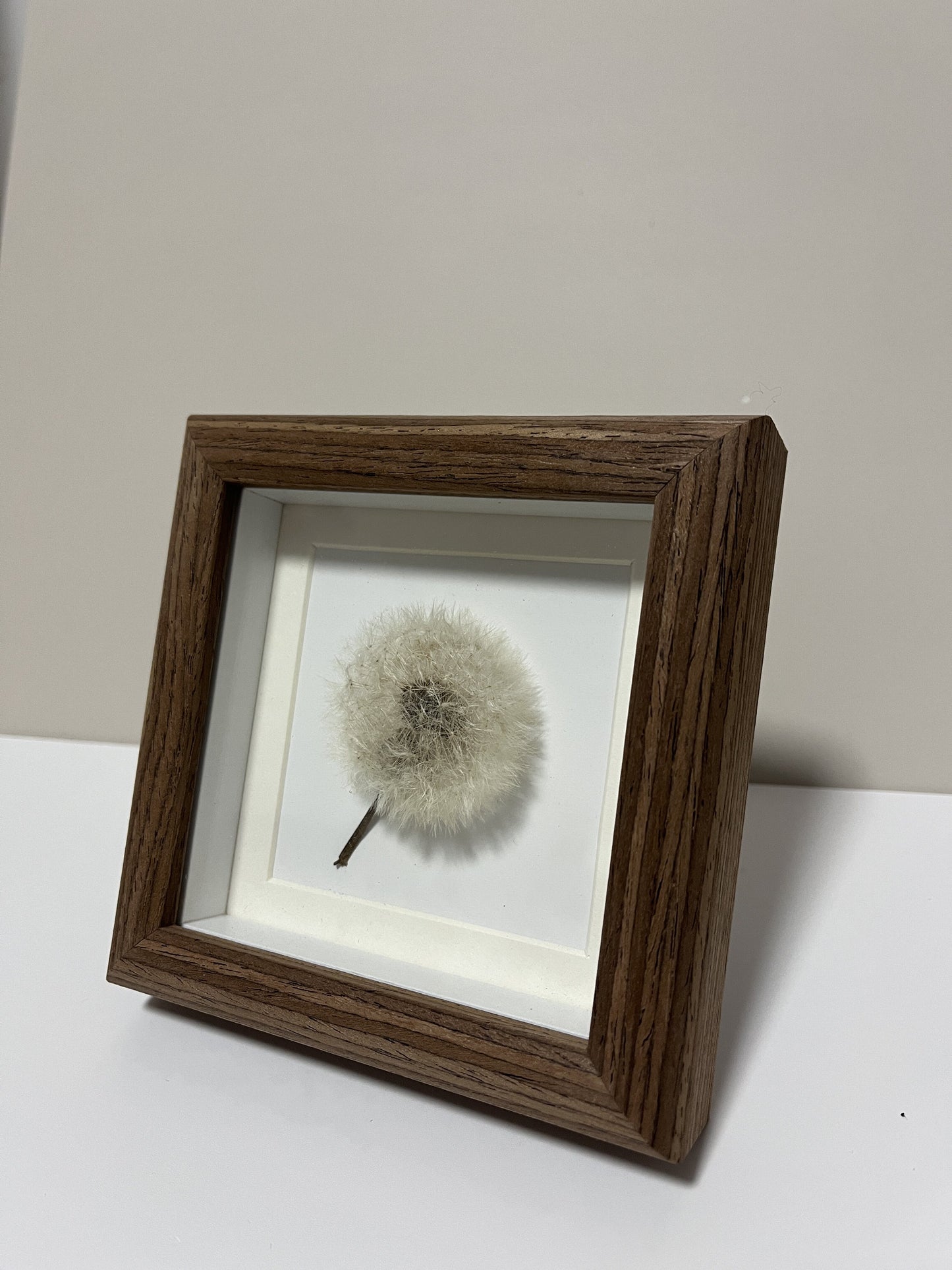 Dandelion Decorative Art #107