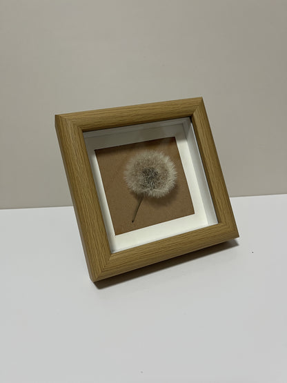 Dandelion Decorative Art #108