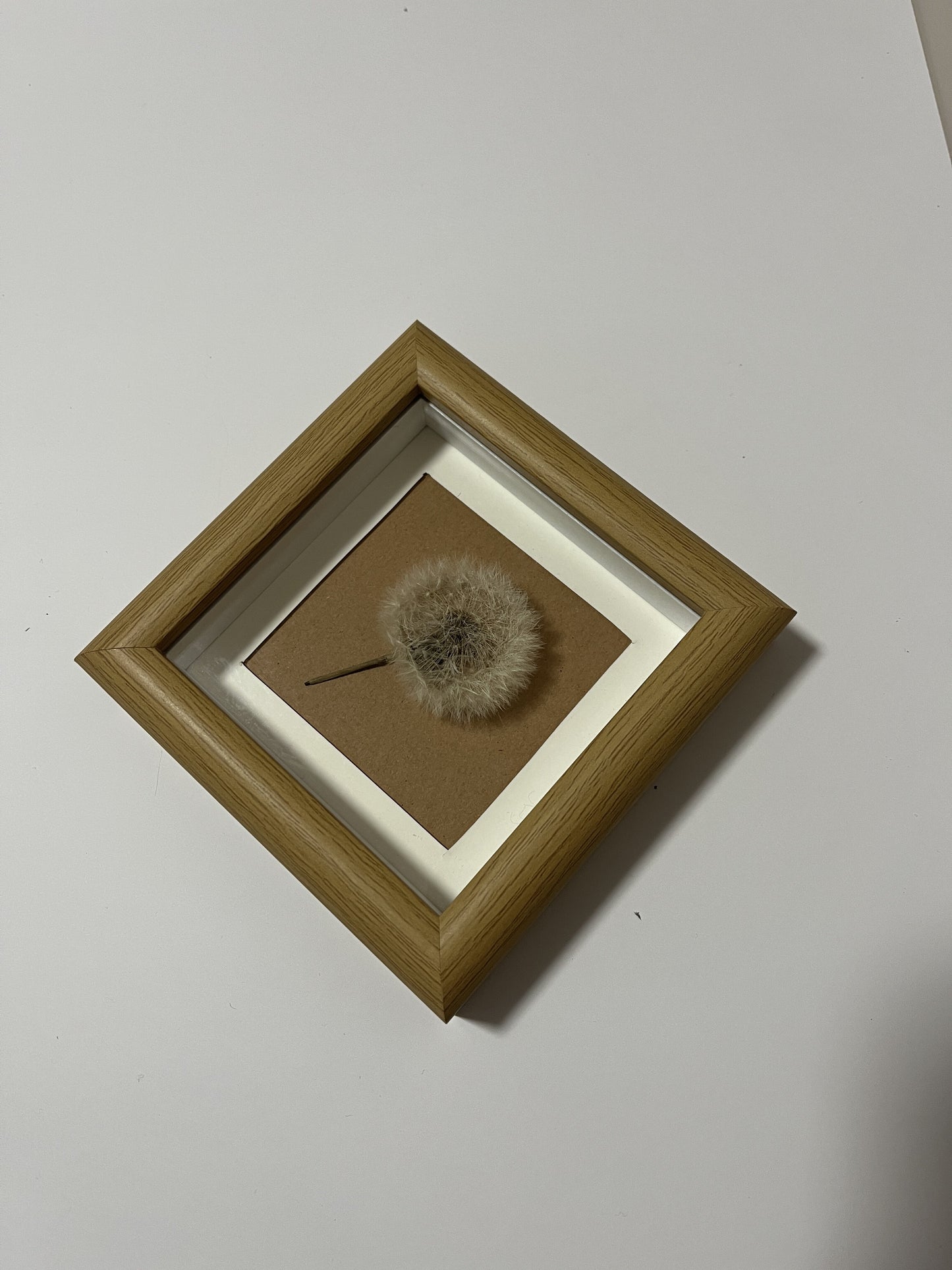 Dandelion Decorative Art #108