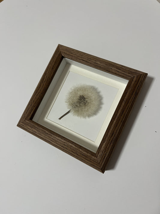 Dandelion Decorative Art #107